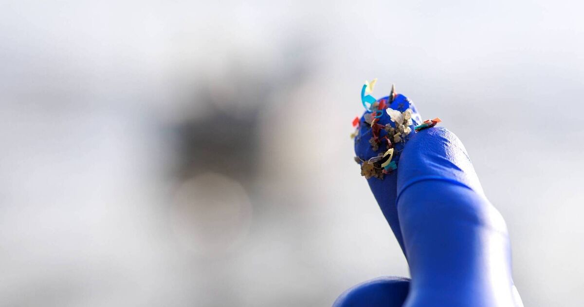 プラスチックは、アルツハイマー病やパーキンソン病の病気で上昇することに関連している可能性がある、と研究は発見した