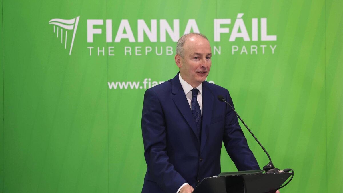 Fianna Fáil a hint of rebellion in her eyes