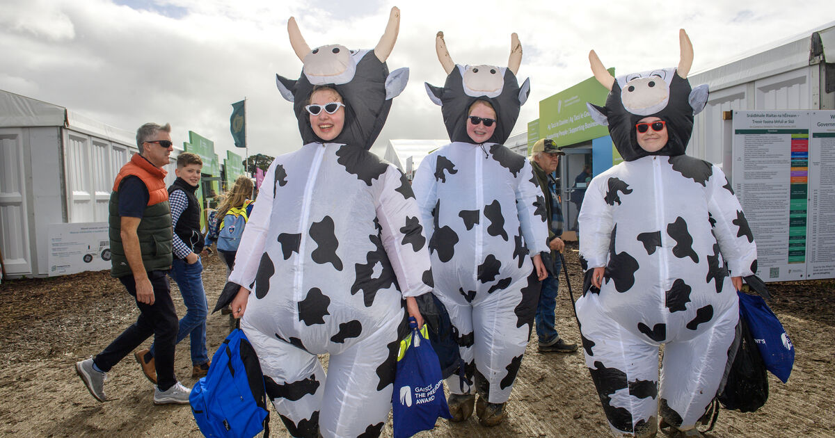 Ploughing Championships: Calls for bishop to be made a saint after prayers ...