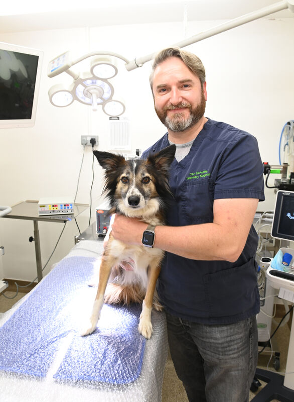 Vet Carl McAuliffe: We’re working to make sure that everything gets done quickly and nobody gets eaten. Picture: Larry Cummins Vet Carl McAuliffe: We’re working to make sure that everything gets done quickly and nobody gets eaten. Picture: Larry Cummins