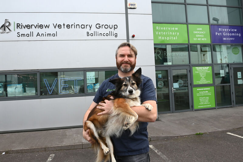 Vet Carl McAuliffe: Primates tend to bite first and ask questions later. Picture: Larry Cummins Vet Carl McAuliffe: Primates tend to bite first and ask questions later. Picture: Larry Cummins
