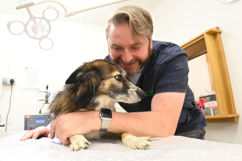 Vet Carl McAuliffe: Veterinary is endlessly fascinating and constantly evolving, just like human medicine. Picture: Larry Cummins Vet Carl McAuliffe: Veterinary is endlessly fascinating and constantly evolving, just like human medicine. Picture: Larry Cummins