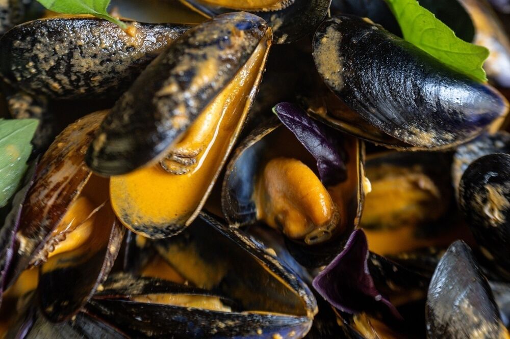 Sunday Mussels