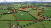 Auction guiding 125-acre Limerick farm at €8,500/acre