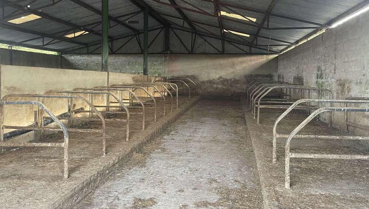 Some of the modern sheds of the 175-acre farm up for auction at Shanakill, Aglish, Co Waterford. Some of the modern sheds of the 175-acre farm up for auction at Shanakill, Aglish, Co Waterford.