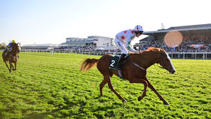 <p>Carrigmoornaspruce and Declan Queally win the Weatherbys General Stud Book Irish EBF Mares Flat Race. Pic: Healy Racing </p>