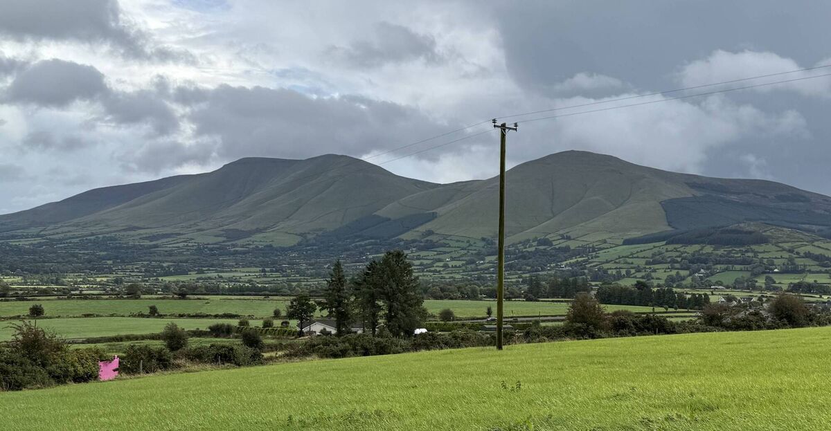 Only uphill struggle at Balllylanders home is a climb in the Galtees