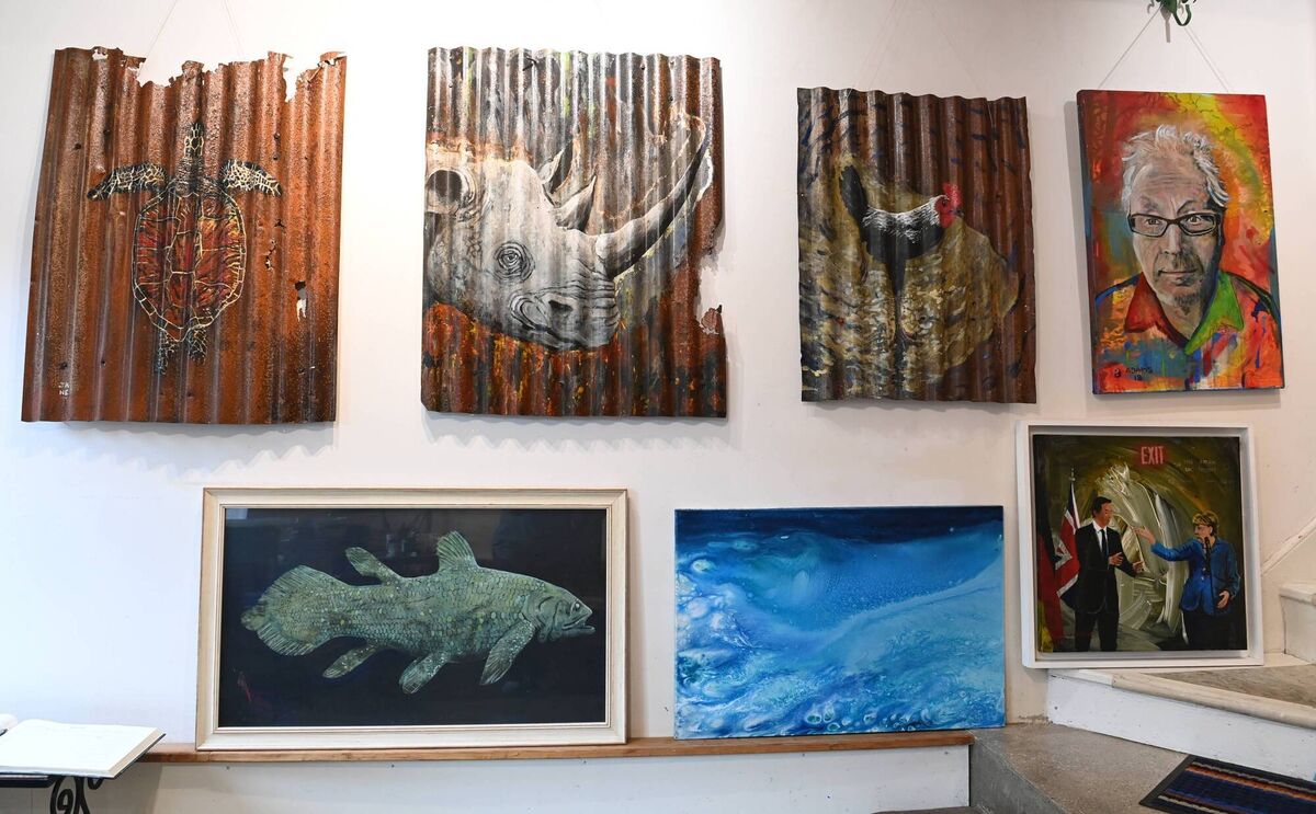 John focuses on 'the fragility of nature and wildlife due to human activity' in these paintings on corrugated metal.