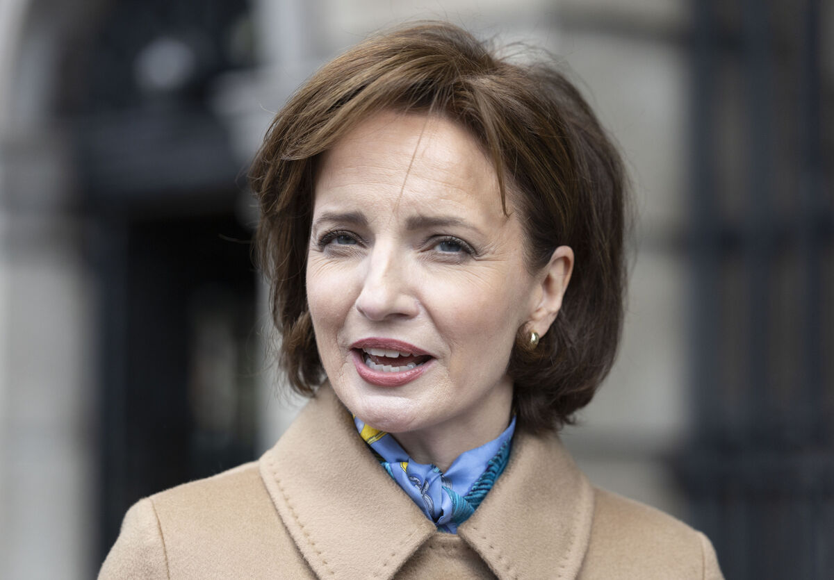 Maria Steen speaking to media on Wednesday when she conceded that she had failed to get the required number of nominations to run as a presidential candidate. Picture: Sam Boal/Collins