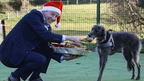 Graham Ross having a tug o war with Lois the lurcher over a turkey leg. Pic: Lorraine O’Sullivan Graham Ross having a tug o war with Lois the lurcher over a turkey leg. Pic: Lorraine O’Sullivan