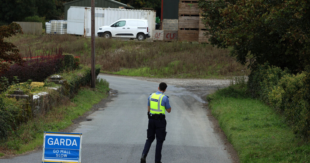 Man arrested as three found dead in Louth house