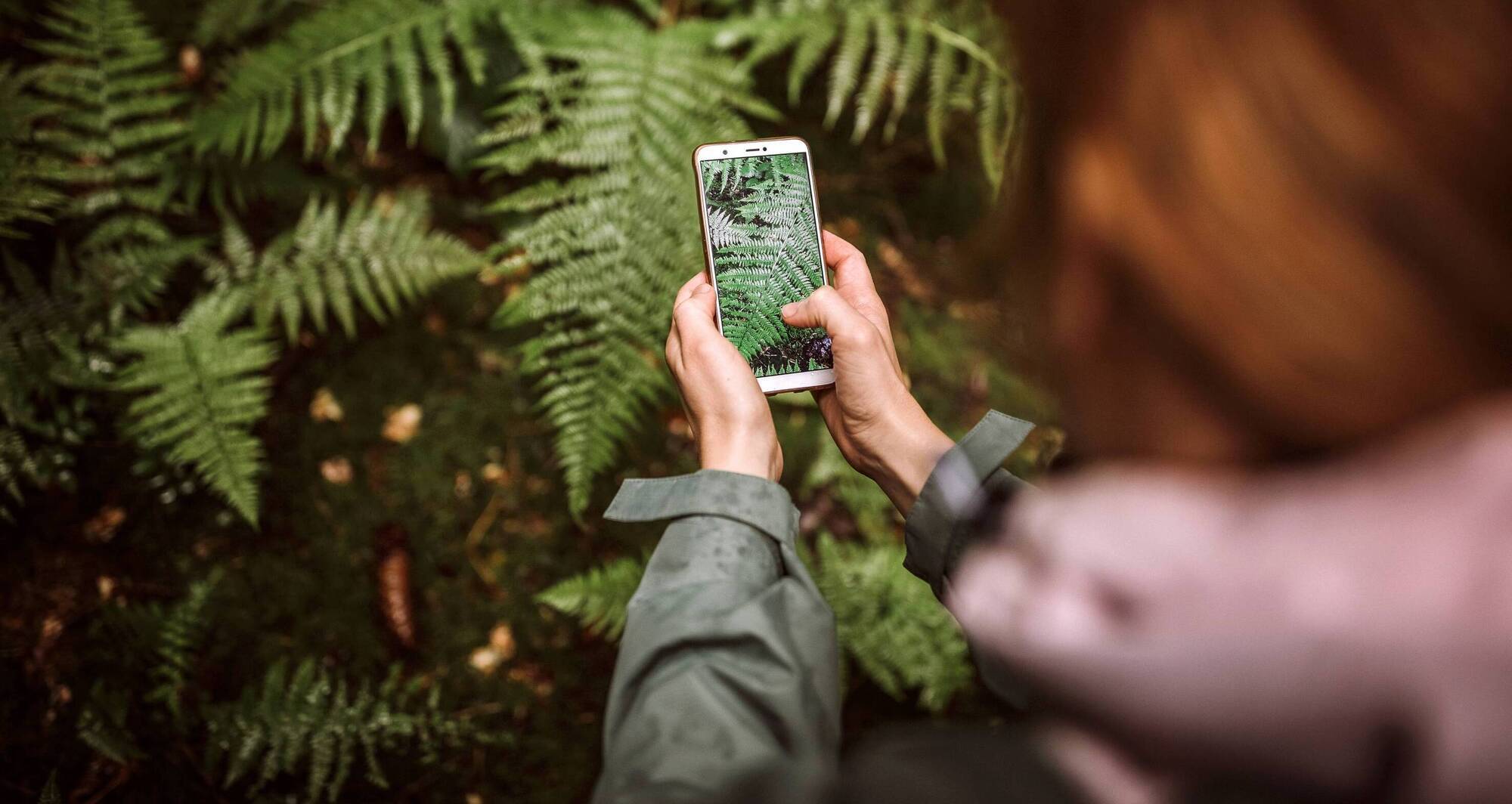 Tap, snap, explore: Seven science-backed apps to bring nature closer