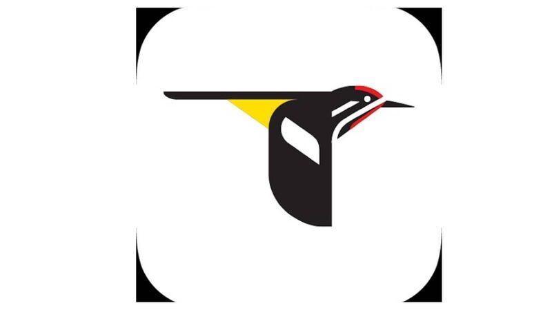 Merlin Bird ID by Cornell Lab of Ornithology