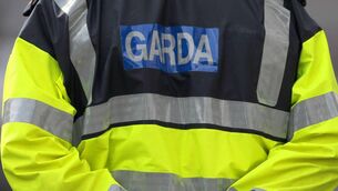 <p>Gardaí and emergency services responded to the incident shortly before 5pm.</p>