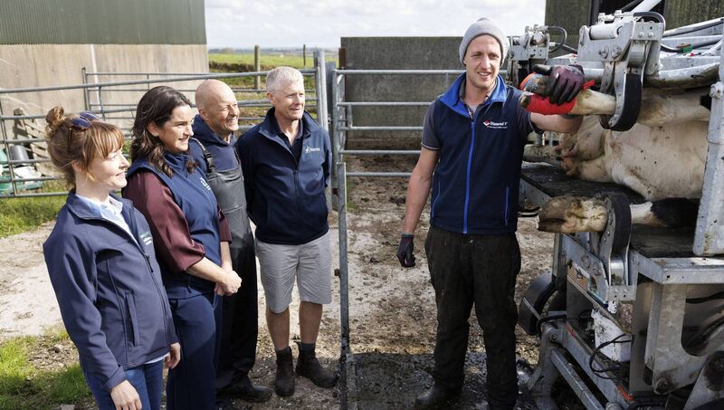 Dr Muireann Connealy, dairy welfare senior research officer, Teagasc; Michelle McGrath, Hoof HealthCheck programme manager, Animal Health Ireland; dairy farmer Nigel Bryan, Fountainstown, Co Cork; vet Willie Buckley, Riverview Vets, Bandon, Co Cork; and Martin Murphy, Lyrevarrig Farm Services, Glenville, Co Cork. 