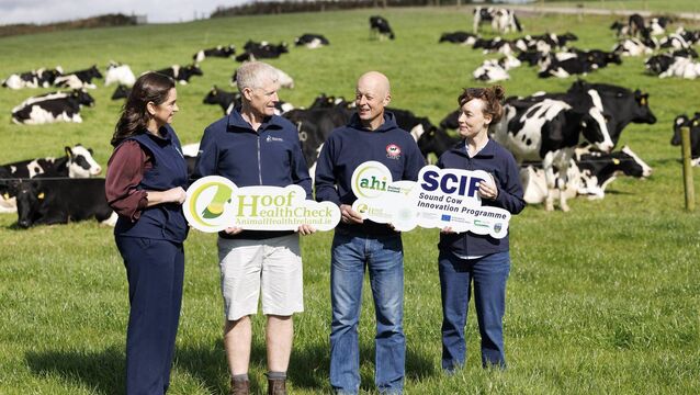 <p>Michelle McGrath, Hoof HealthCheck programme manager, Animal Health Ireland; vet Willie Buckley, Riverview Vets, Bandon, Co Cork; dairy farmer Nigel Bryan, Fountainstown, Co Cork; and Dr Muireann Connealy, dairy welfare senior research officer, Teagasc.</p>