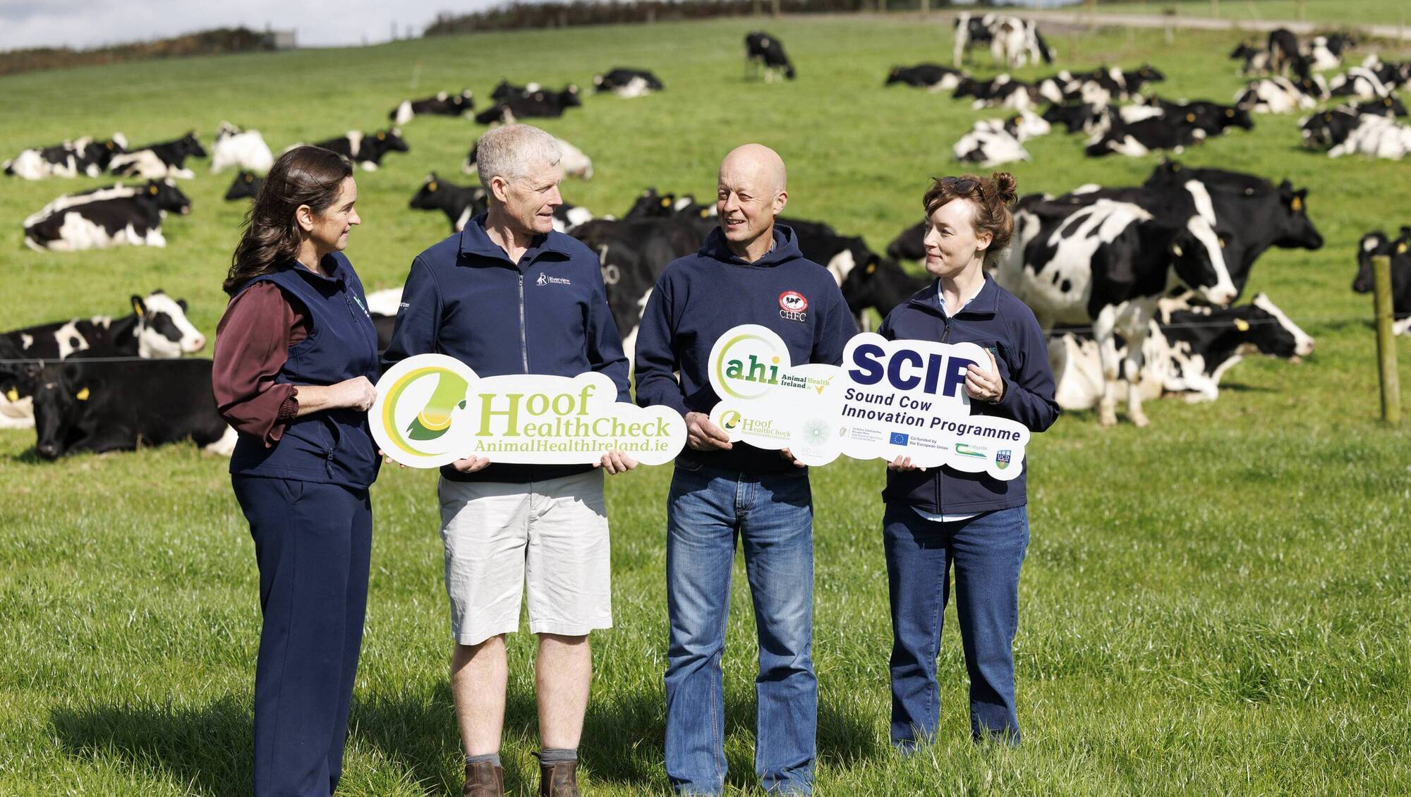 New Animal Health Ireland hoof health programme launched