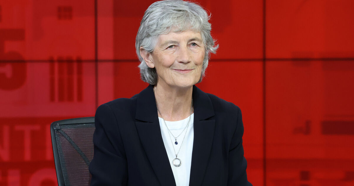 Catherine Connolly 'had no contact with gardaí' over hiring woman convicted of gun offences