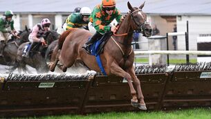<p>REIGNING SUPREME:  Queenofthelodge wins the Derrinlaur Mares' Handicap Hurdle in the hands of Philip Enright. 	Picture:  Healy Racing </p>