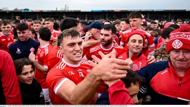 <p>Shane O'Donnell of Éire Óg Ennis celebrates after victory in the Clare County Senior Club Hurling Championship final match between Clooney Quin and Éire Óg Ennis at Zimmer Biomet Páirc Chíosóg in Ennis, Clare. Photo by Piaras Ó Mídheach/Sportsfile</p>