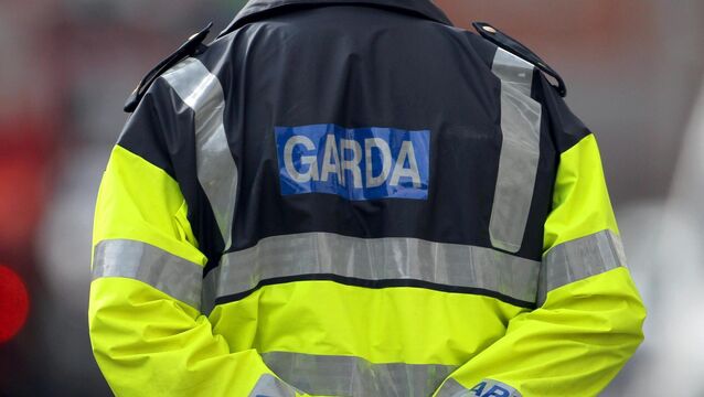 <p>The men, both in their 20s, were arrested under 72 of the Criminal Justice Act 2006. Picture: Niall Carson/PA</p>