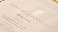 Lack of interest sees Government scrap €40 'Certificate of Irish Heritage'