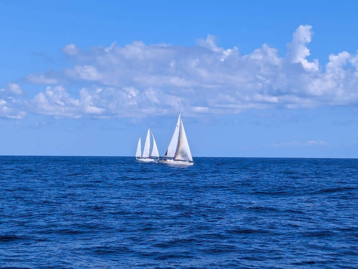 At sea on the Global Sumud Flotilla. At sea on the Global Sumud Flotilla.