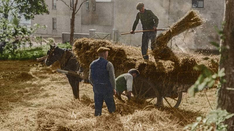 A life on the land: The story behind a new book of images from Ireland's farming history