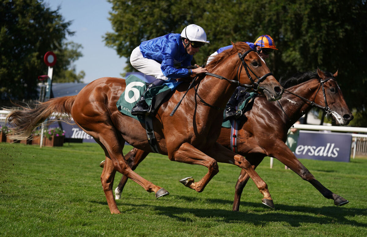 Distant Storm will attempt to give Charlie Appleby back-to-back victories in the Darley Dewhurst Stakes. Picture: Joe Giddens/PA