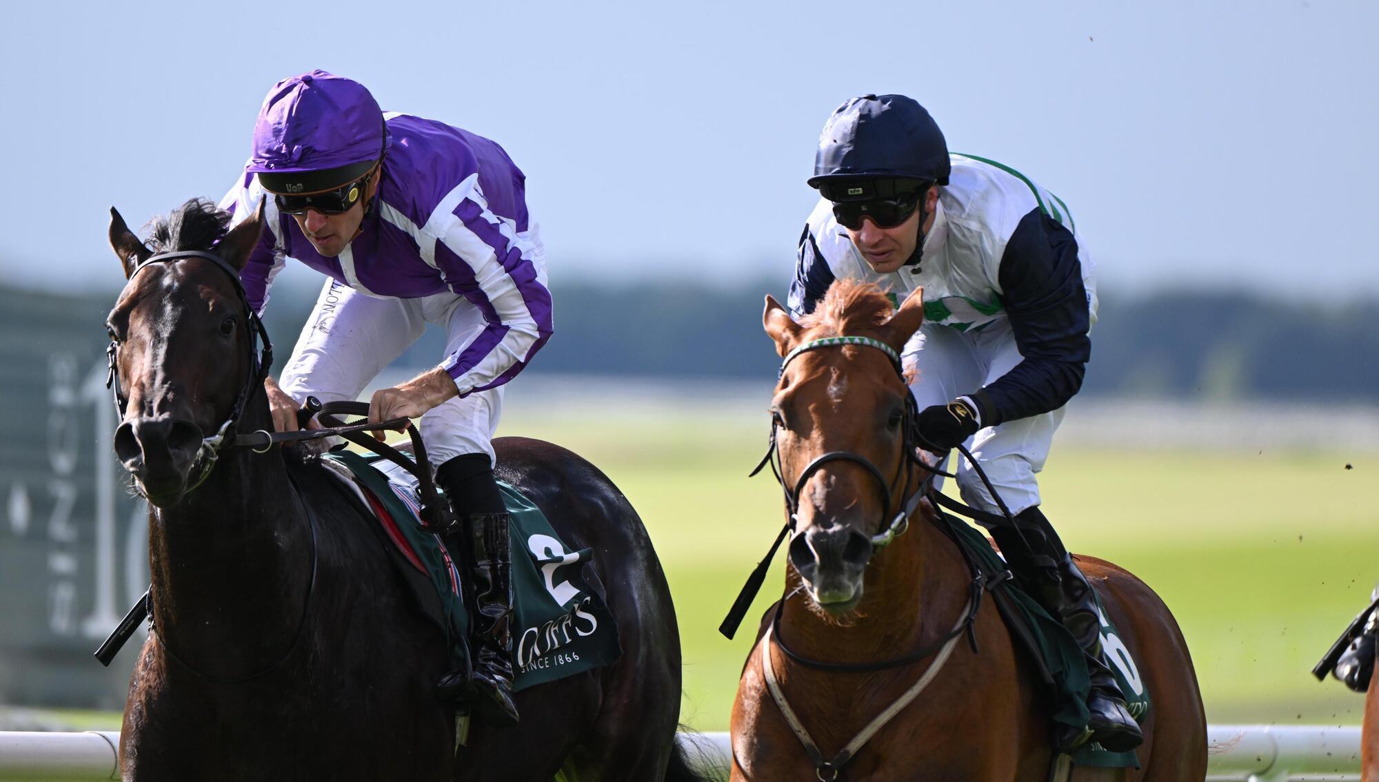 Ruby Walsh: Zavateri proves that among the deep-pocketed Goliaths, there's always a David