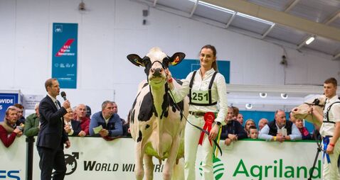 Twizzle sparkles to be named Supreme Champion at the National Dairy Show
