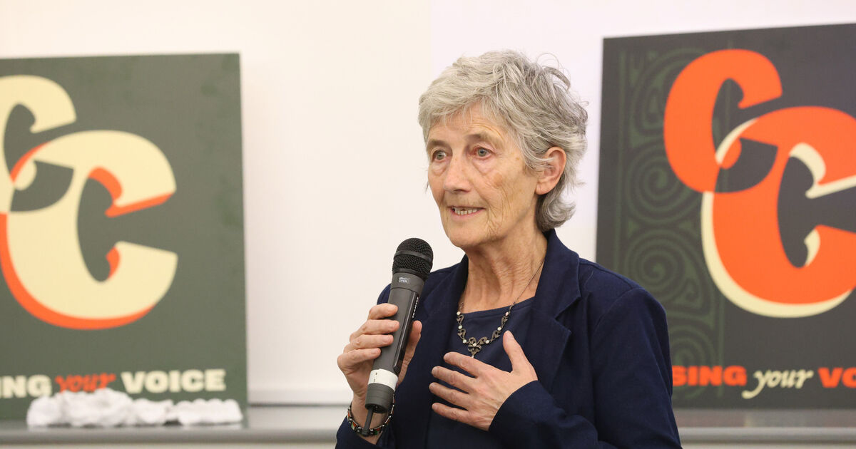 Catherine Connolly accuses Fine Gael of 'engendering a negative ...