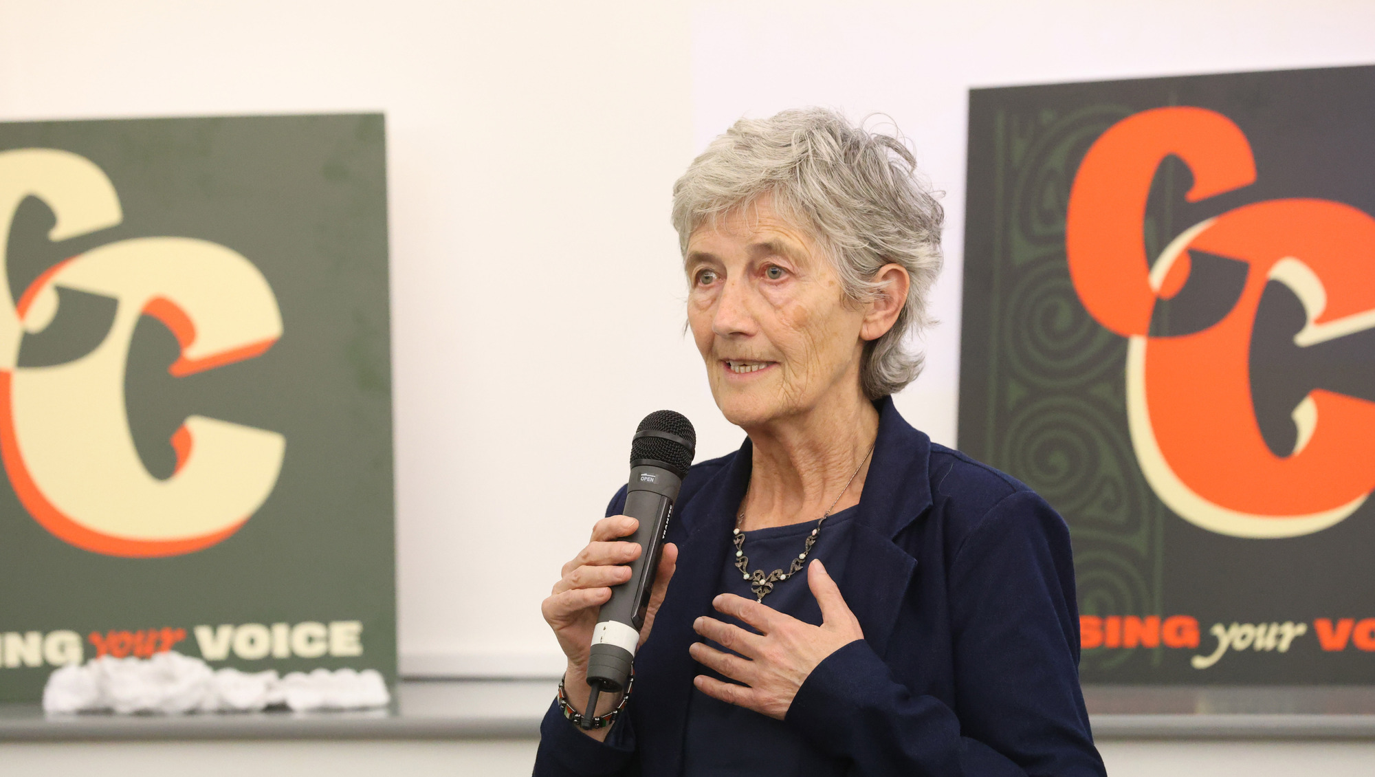 Catherine Connolly accuses Fine Gael of 'engendering a negative campaign' 