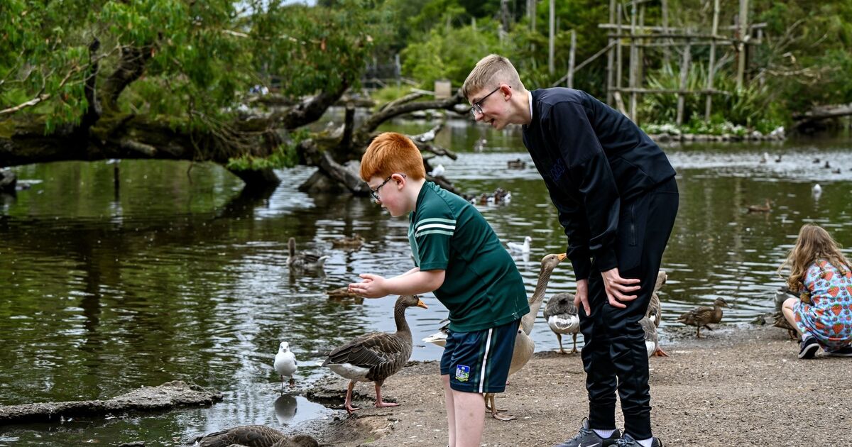 Fota Wildlife Park to close for two days due to suspected avian flu