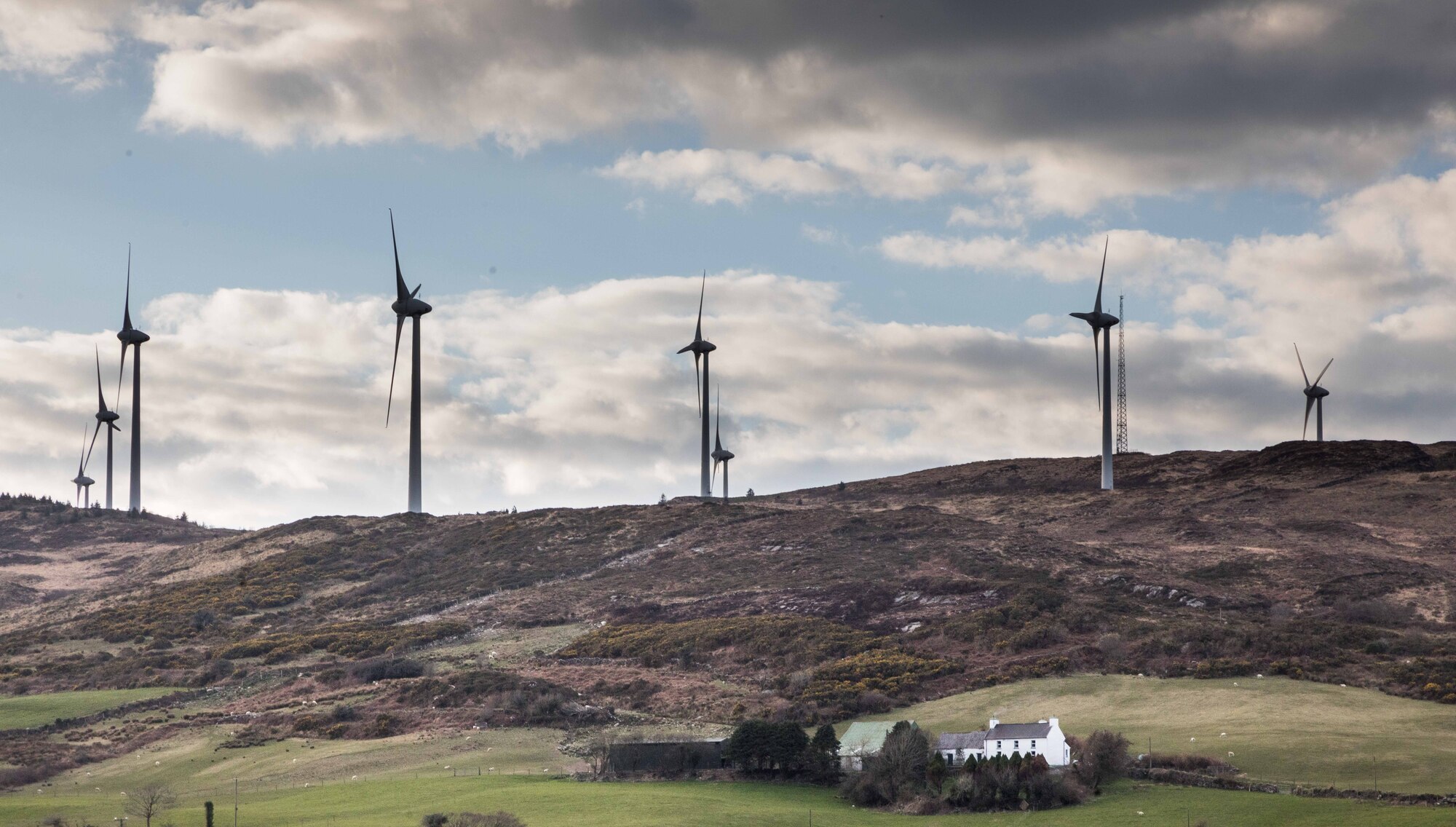 Irish Examiner view: We must act on grid capacity warnings