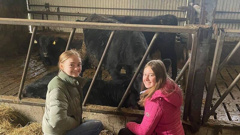 From left: Hollie-Mae Power Sinnott, Grace Warren with their Angus calves on Hollie's farm 