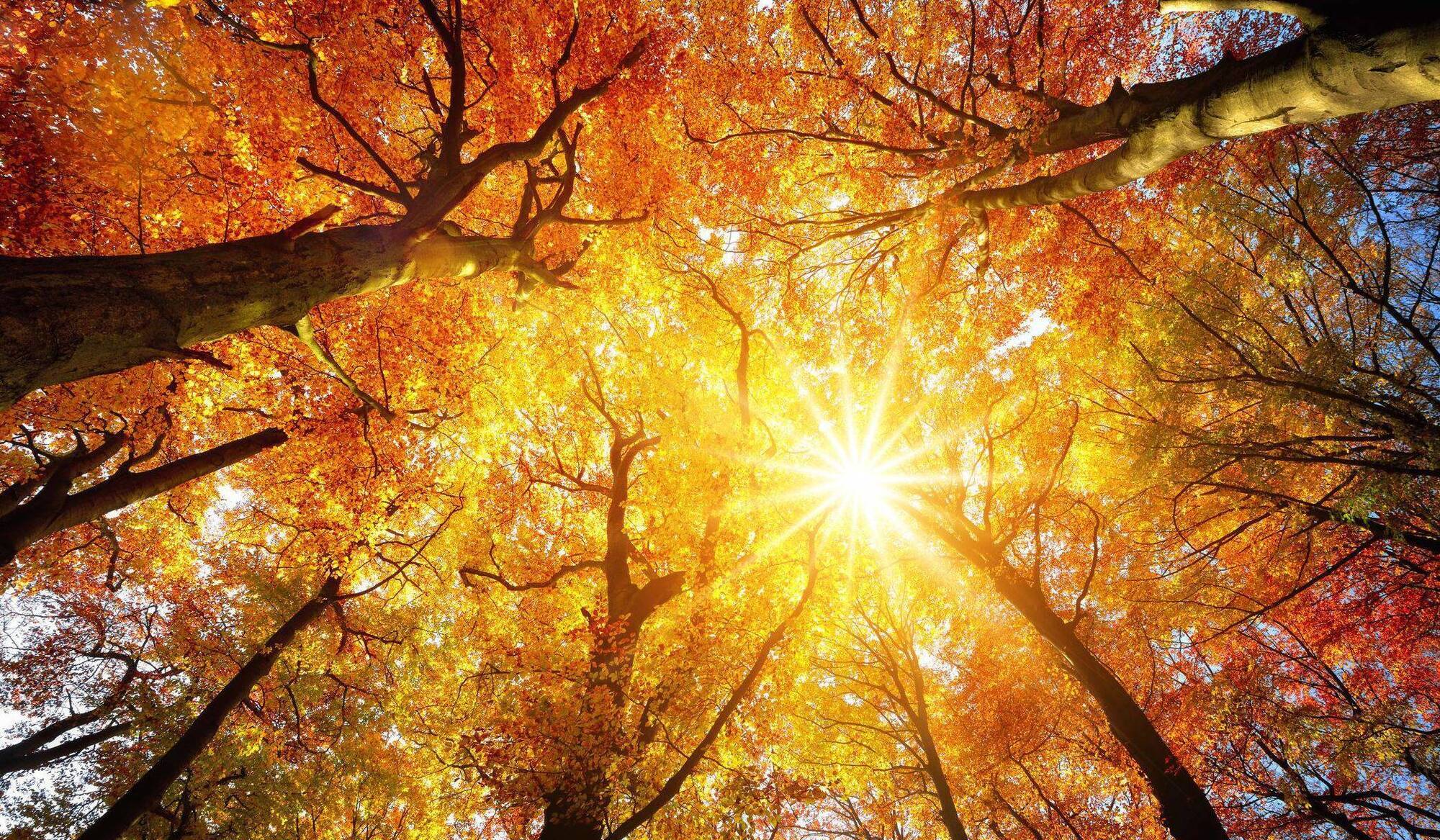 Anja Murray: Public land is the low-hanging fruit for nature restoration