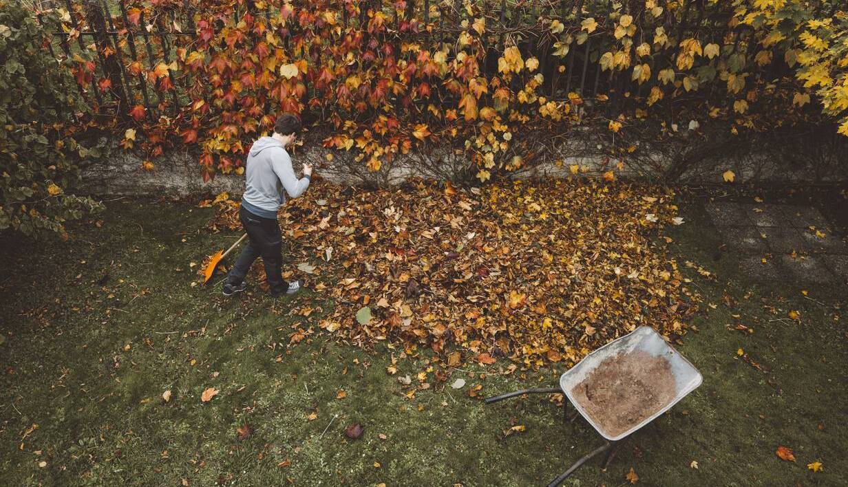 Rake expectations: should we be picking up leaves at all?