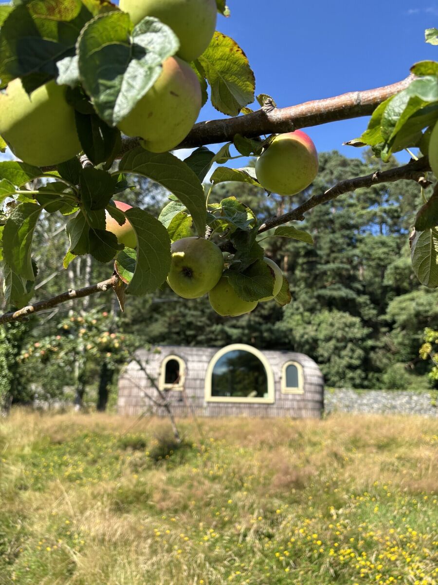 The exterior of the Kingfisher's Residence