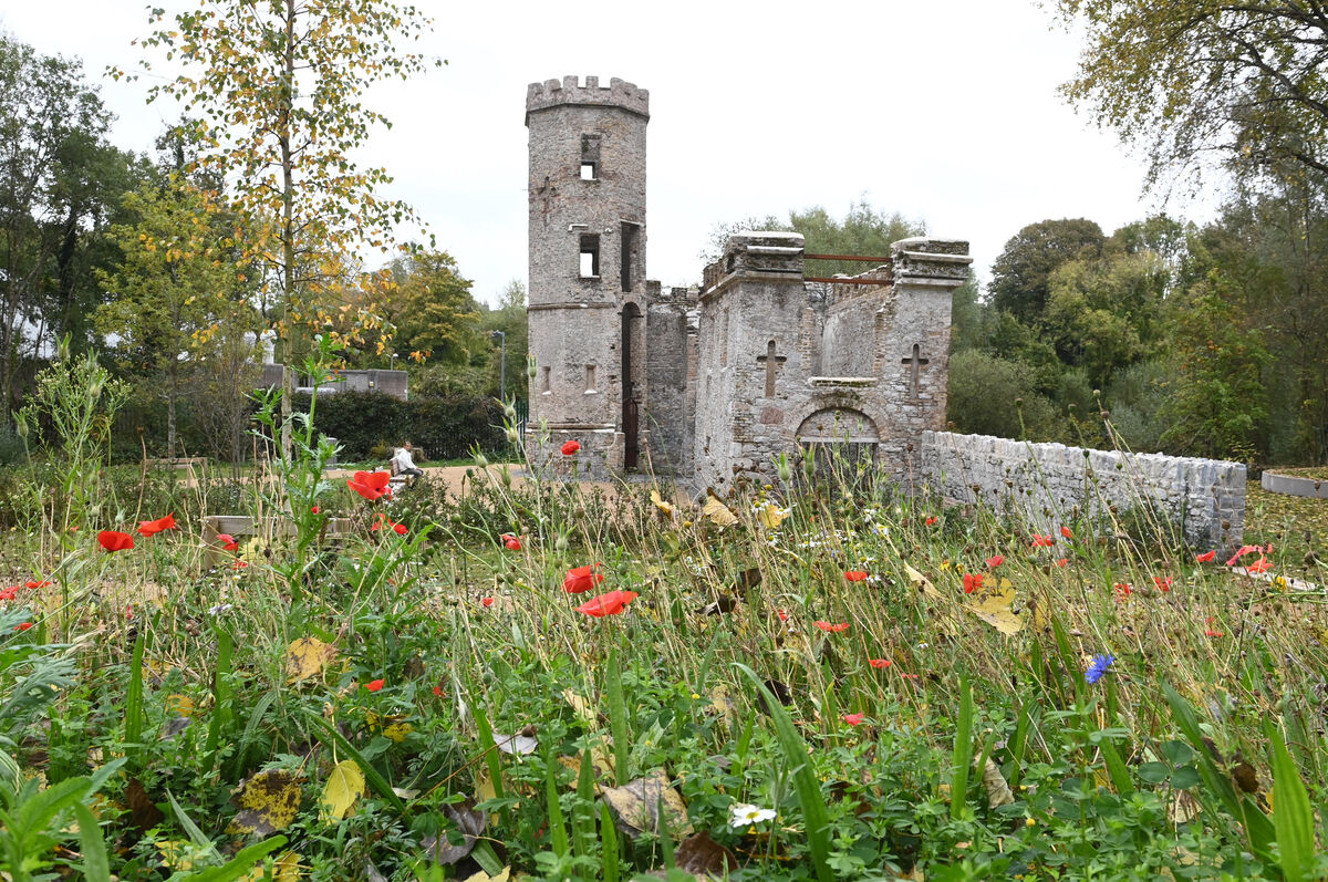  Barrington's Folly, part of the new woodland walk at Marina Park, Cork city