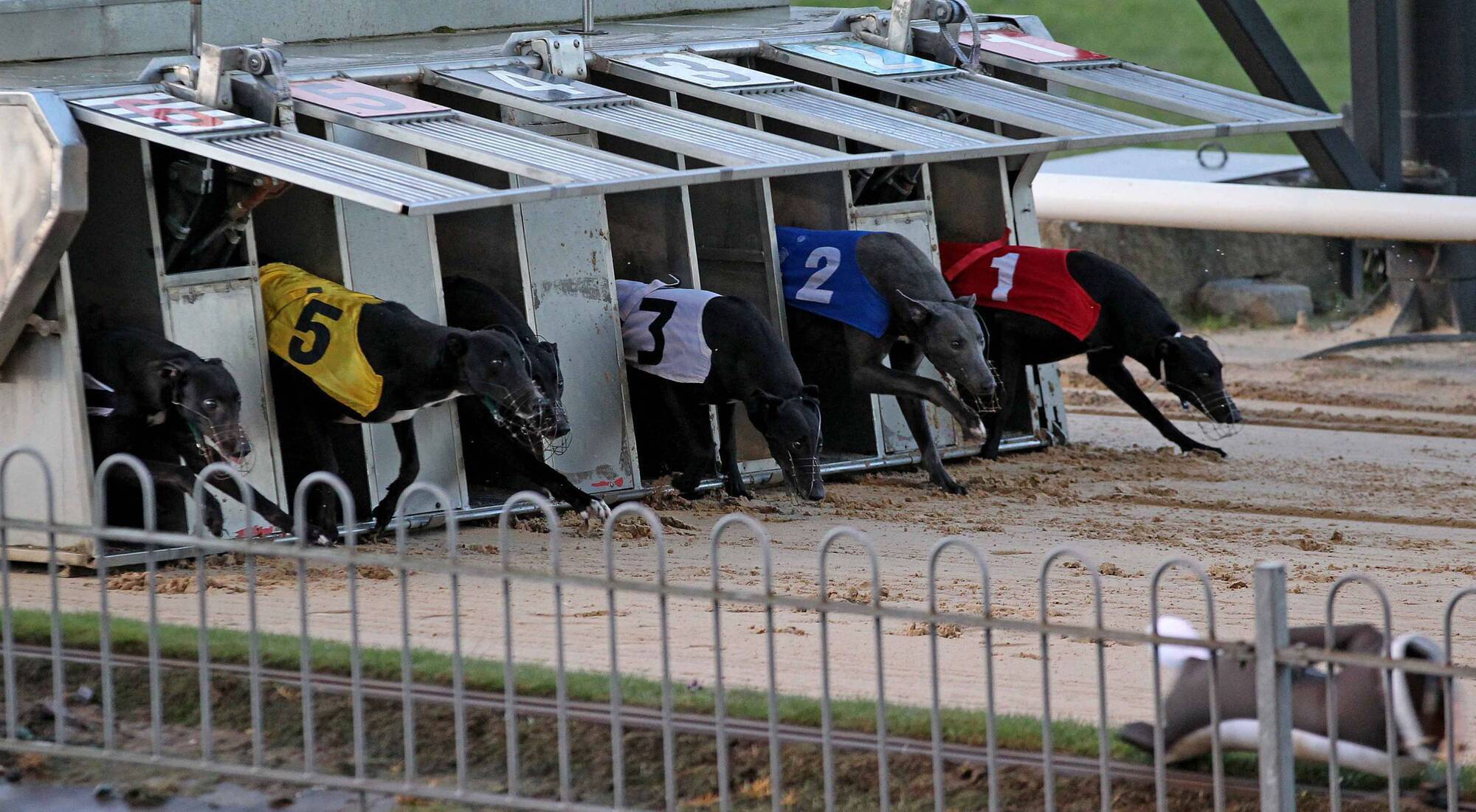 Letters to the Editor: Greyhound industry body responds to Fergus Finlay's column on funding
