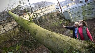 <p>The campaign follows the severe impact of Storm Eowyn last January, which knocked out electricity to 780,000 homes and premises, with 130,000 people still awaiting reconnection after six days. Pictured are Angela Ducey and her daughter Aine in Co Cork after a tree fell on the roof of their home during the storm. File picture: Larry Cummins</p>