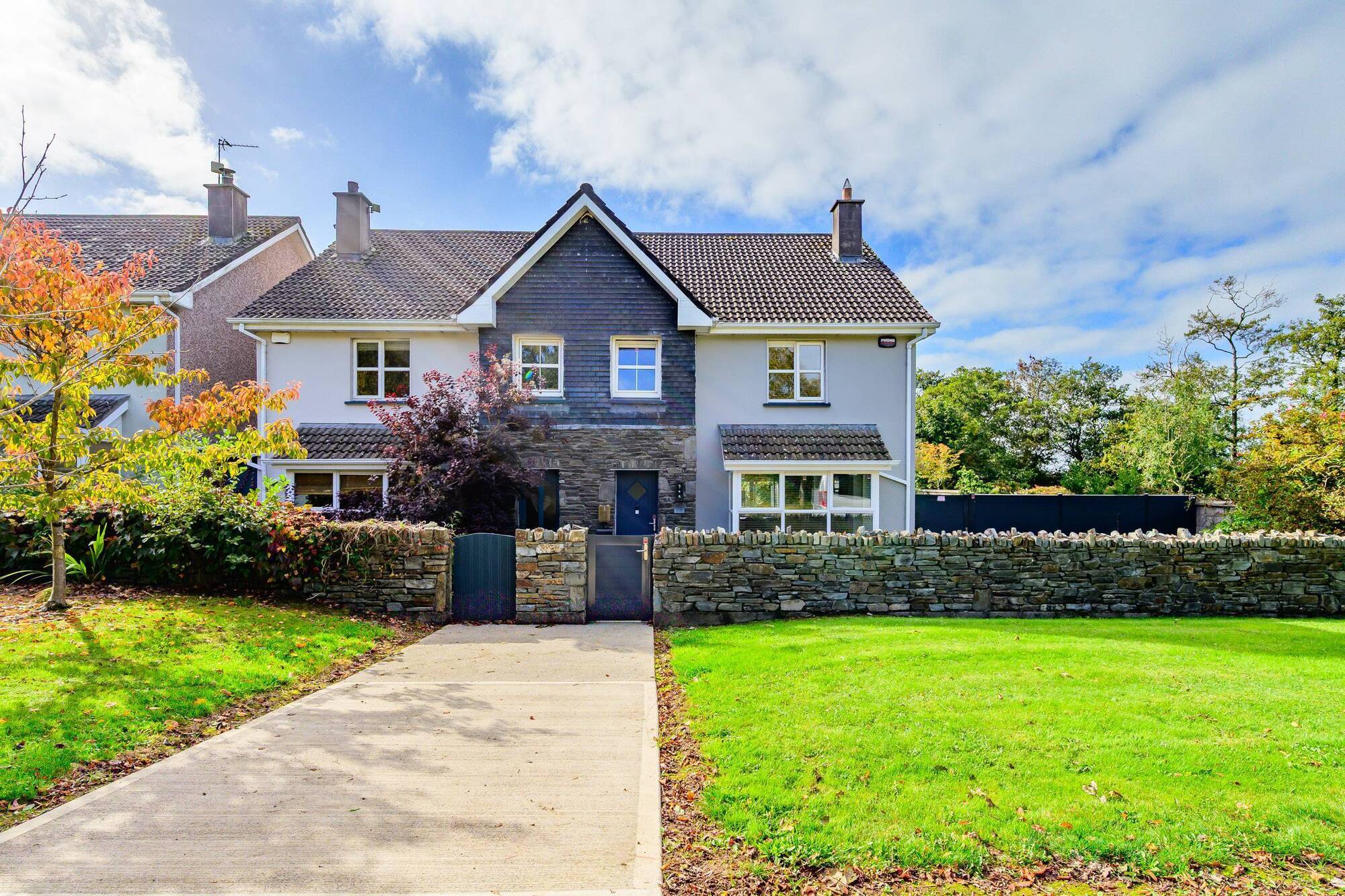Great quack with Indian runner ducks at €425k Belgooly House of the Week