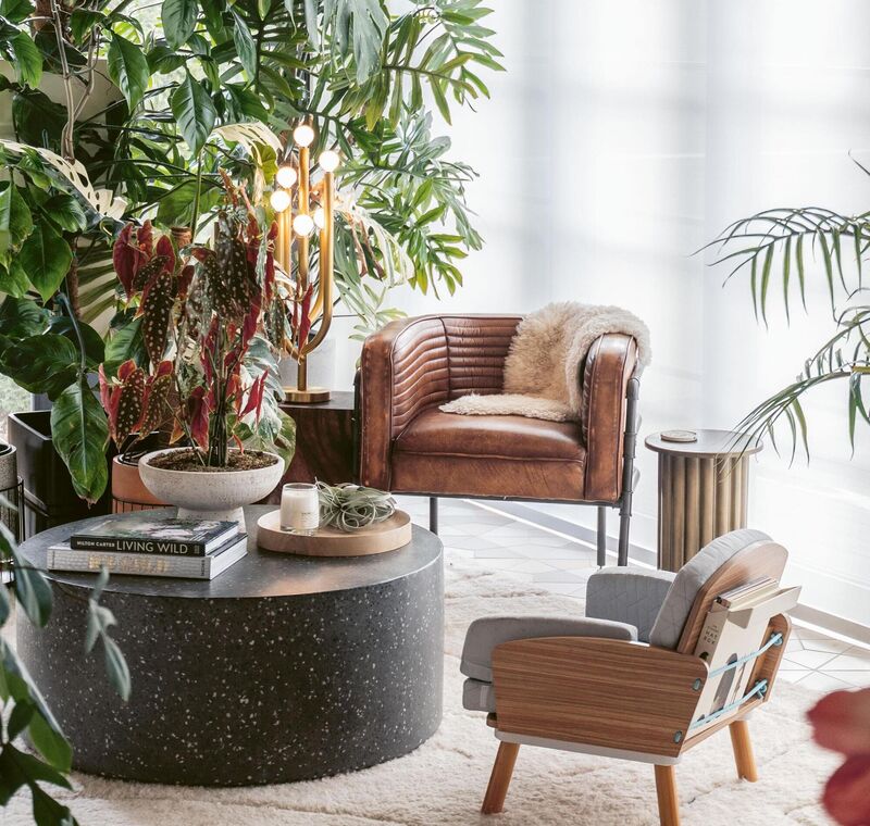 La véranda de Hilton Carter utilise la végétation pour créer de la texture, de la hauteur et une touche naturelle à l'intérieur. La véranda de Hilton Carter utilise la végétation pour créer de la texture, de la hauteur et une touche naturelle à l'intérieur.
