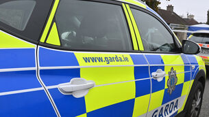 <p>Picture: Dan Linehan.</p> <p>Picture: Dan Linehan.</p>