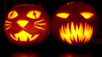 Halloween survey