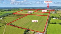 88-acre Kerry farm sells under the hammer for €1.66m