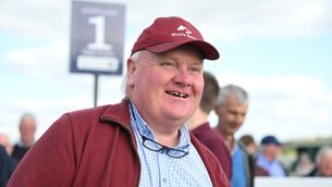 <p>John Nallen's Mercurial has plenty in his favour in the 1xbet.ie Safer Gambling Handicap at the Curragh on Tuesday. Pic: Healy Racing</p>