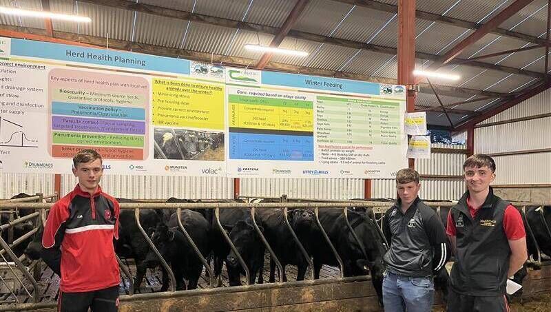 From left: Cillian Marren, Kyle Gow, and Sam Caplis at Teagasc Dairy Calf to Beef Sustainable Farm Walk in Kilkenny. From left: Cillian Marren, Kyle Gow, and Sam Caplis at Teagasc Dairy Calf to Beef Sustainable Farm Walk in Kilkenny.