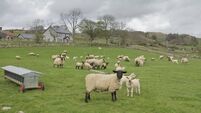 Farmland in Ireland